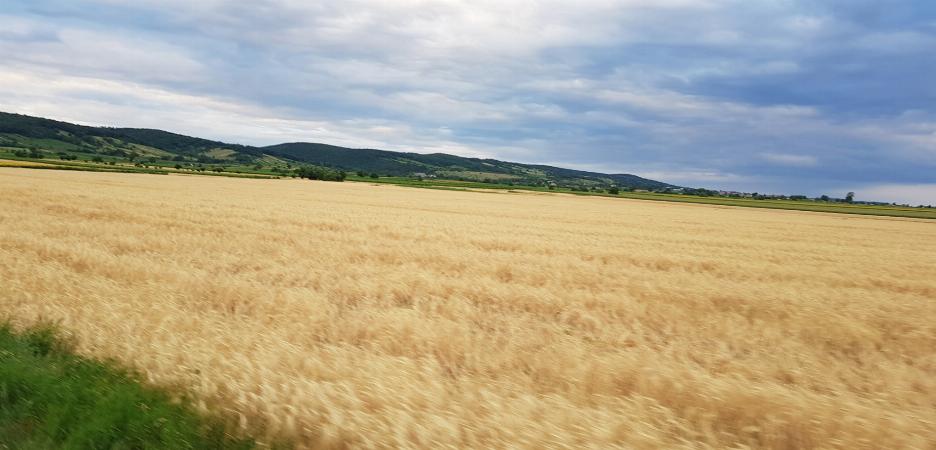 R�ckpacht m�glich